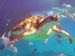 Green Turtle